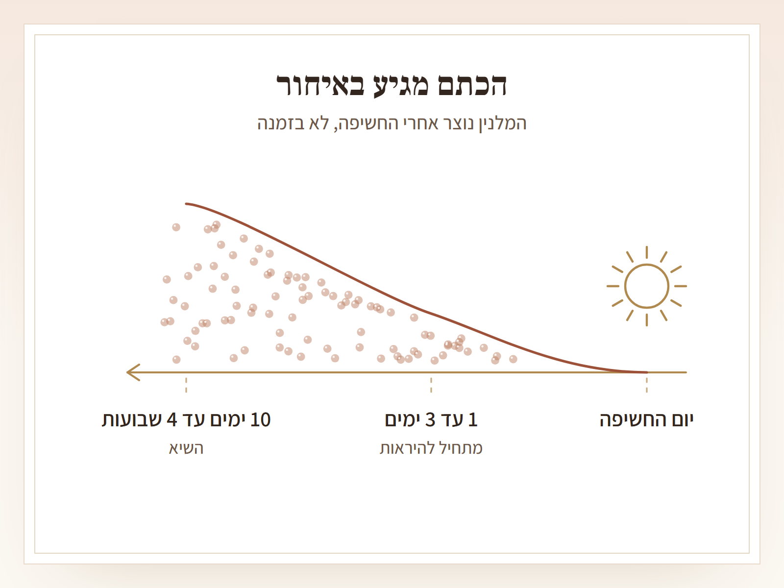 תרשים ציר זמן מימין לשמאל. מימין שמש ונקודת התחלה בשם יום החשיפה. קו חום עולה בהדרגה שמאלה, ומתחתיו נקודות ורדרדות שהולכות ומתרבות. נקודת ציון אחת אחרי יום עד שלושה ימים, מתחיל להיראות, ונקודה שנייה אחרי עשרה ימים עד ארבעה שבועות, השיא. כותרת: הכתם מגיע באיחור