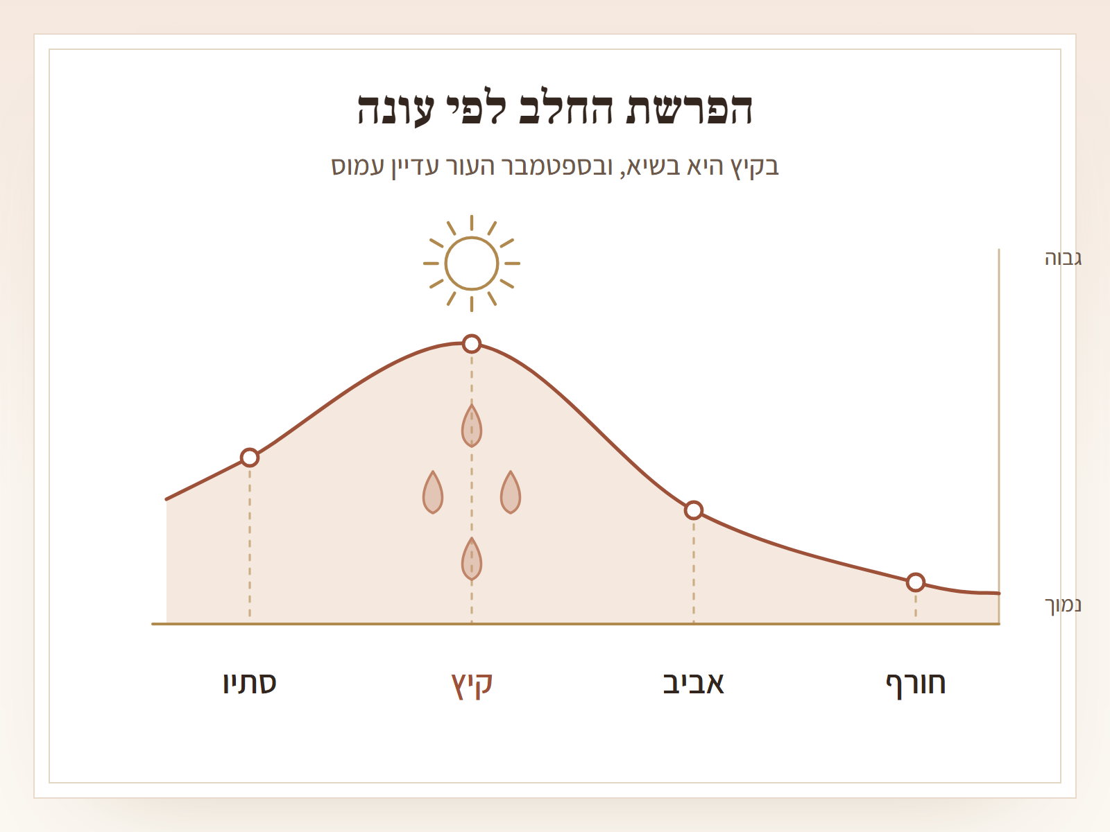 תרשים עקומה על פני ארבע עונות, מימין לשמאל: חורף נמוך, אביב עולה, קיץ בשיא עם שמש מעליו וטיפות מתחתיו, וסתיו יורד אבל עדיין גבוה. הציר האנכי מסומן נמוך וגבוה בלבד, בלי מספרים. כותרת: הפרשת החלב לפי עונה